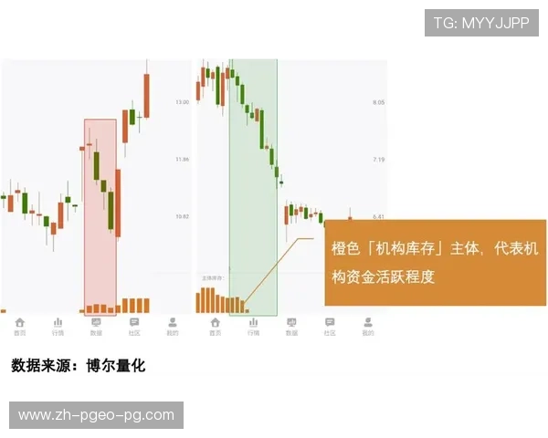 球迷经济学：死忠群体如何影响俱乐部市值波动曲线