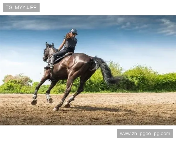 骑马类健身器材的类型与健身效果 骑马类健身器材的类型与健身效果