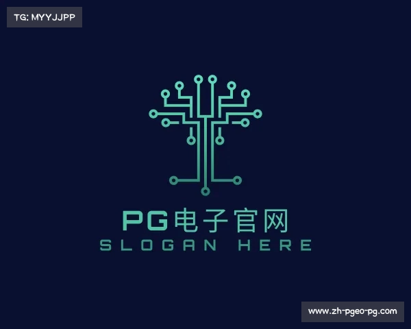 介绍PG电子官网